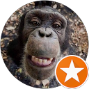 Benjamin Liebner dos Santos